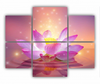 Set 6 Tablouri Multicanvas Floarea de lotus 0281 100X80 cm 