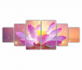 Set 6 Tablouri Multicanvas Floarea de lotus 0281 200X80 cm 