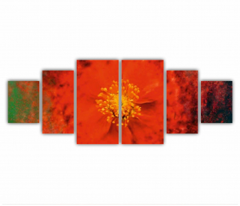 Set 6 Tablouri Multicanvas Flori art 2 0189 200X80 cm 