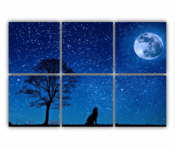 Set 6 Tablouri Multicanvas Lupul si luna 0486 120X80 cm