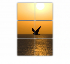 Set 6 Tablouri Multicanvas O silueta de pescarus 0004 80X120 cm