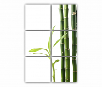 Set 6 Tablouri Multicanvas Relaxare Spa 0871 80X120 cm 