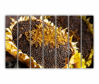 Set 7 Tablouri Multicanvas Camp de floarea soarelui 5 0075 210X120 cm 