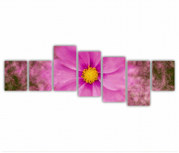 Set 7 Tablouri Multicanvas Cosmea art 0188 210X80 cm 