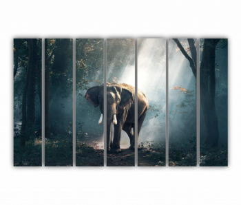 Set 7 Tablouri Multicanvas Elefant 0395 210X120 cm 