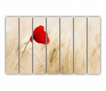 Set 7 Tablouri Multicanvas Floare rosie 0266 210X120 cm 