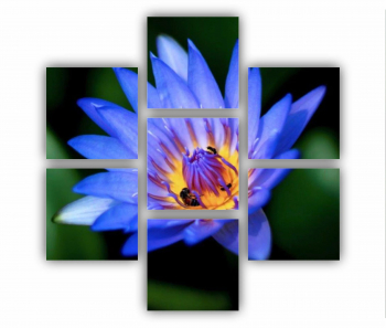 Set 7 Tablouri Multicanvas Floarea de lotus 0278 180X180 cm 