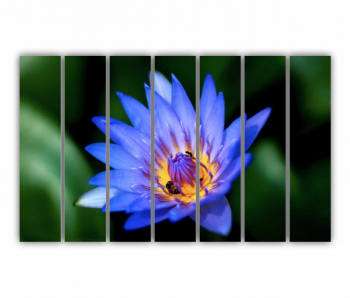 Set 7 Tablouri Multicanvas Floarea de lotus 0278 210X120 cm 