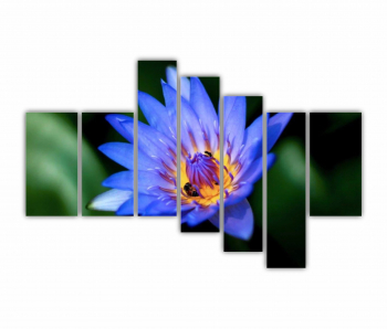 Set 7 Tablouri Multicanvas Floarea de lotus 0278 240X160 cm 