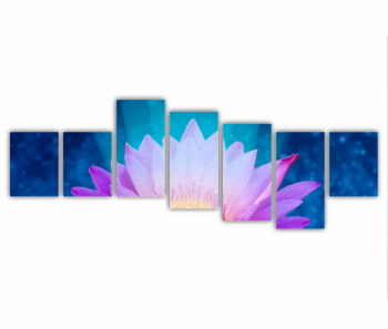 Set 7 Tablouri Multicanvas Floarea de lotus 0280 210X80 cm 