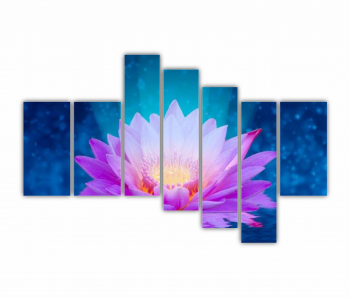 Set 7 Tablouri Multicanvas Floarea de lotus 0280 240X160 cm 