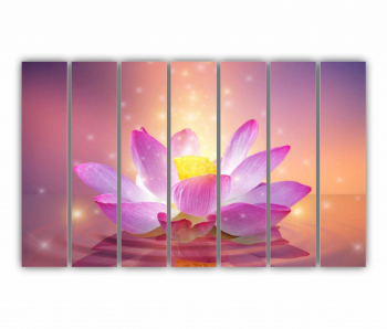 Set 7 Tablouri Multicanvas Floarea de lotus 0281 210X120 cm 