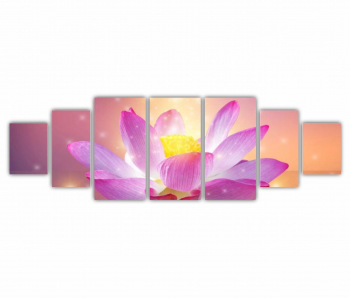 Set 7 Tablouri Multicanvas Floarea de lotus 0281 240X80 cm 