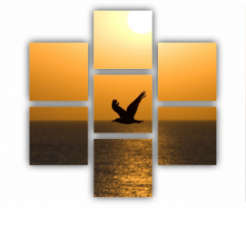 Set 7 Tablouri Multicanvas O silueta de pescarus 0004 180X180 cm 