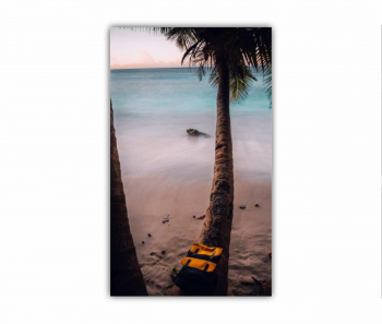 Tablou Canvas 1 piesa Anse Patatm Seychelles 0445 90X150 cm 