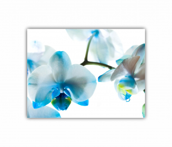 Tablou Canvas 1 piesa Art painting 1 0165 120X90 cm