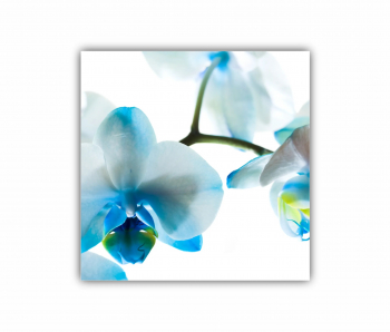 Tablou Canvas 1 piesa Art painting 1 0165 60X60 cm 