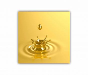 Tablou Canvas 1 piesa Aur 0887 30X30 cm 