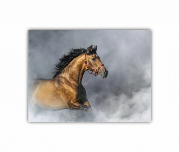 Tablou Canvas 1 piesa Cal 5 0193 80X60 cm 