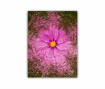 Tablou Canvas 1 piesa Cosmea art 0188 30X40 cm 