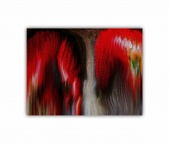 Tablou Canvas 1 piesa Digital Art 0317 80X60 cm 