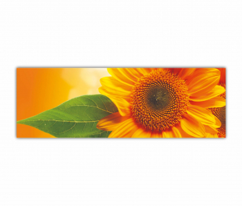 Tablou Canvas 1 piesa Floarea soarelui 0285 90X30 cm 