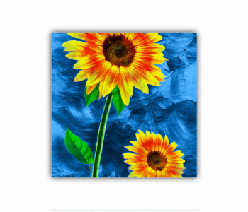 Tablou Canvas 1 piesa Floarea soarelui pe fundal abstract albastru 0807 80X80 cm 