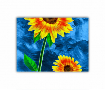 Tablou Canvas 1 piesa Floarea soarelui pe fundal abstract albastru 0808 80X60 cm 