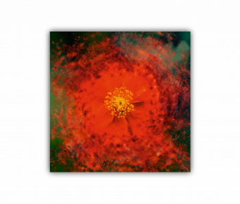 Tablou Canvas 1 piesa Flori art 2 0189 30X30 cm 