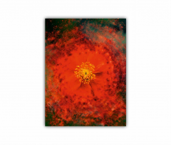 Tablou Canvas 1 piesa Flori art 2 0189 60X80 cm 