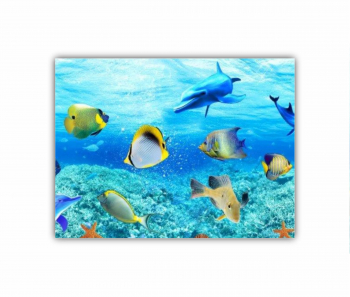 Tablou Canvas 1 piesa Nisip si Spartura de Coral 2 0153 80X60 cm 