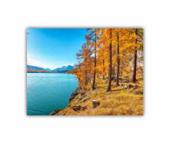 Tablou Canvas 1 piesa Padure si lac 1 0114 80X60 cm 