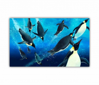Tablou Canvas 1 piesa Pinguinii 0502 150X90 cm