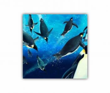 Tablou Canvas 1 piesa Pinguinii 0502 150X150 cm 