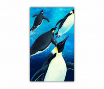 Tablou Canvas 1 piesa Pinguinii 0502 60X100 cm