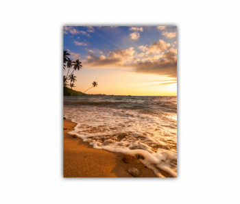 Tablou Canvas 1 piesa Plaja tropicala 3 0230 30X40 cm 