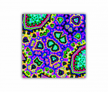 Tablou Canvas 1 piesa Psychedelic Fractal Art 1 - ROBERTO SORIN 0028 120X120 cm 