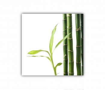 Tablou Canvas 1 piesa Relaxare Spa 0871 150X150 cm 