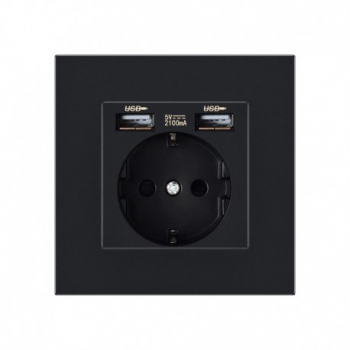 Priza Techstar® PCU1 Simpla 2 x USB 2.1 A Culoare Negru Policarbonat 16A 