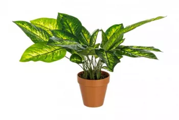 Set 3 plante artificiale in ghiveci 30x30x45 cm