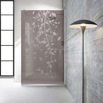 Paravan dus walk-in Aqua Roy INOX model Dance incolor 70x195 cm sticla 8 mm bronz securizata anticalcar 