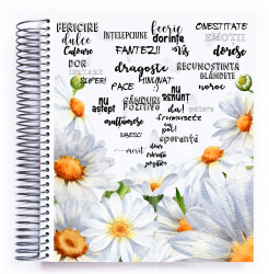 Agenda datata 2024 Interior MULTICOLOR Organizator Planificator Planner pentru motivatie si productivitate DAI001 