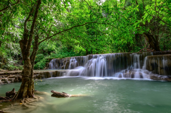 Fototapet de perete autoadeziv si lavabil Cascada44 Cadere de apa in padurea verde 250 x 200 cm 