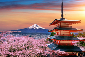 Fototapet Flori152 Templu japonez cu ciresi infloriti in apus 200 x 150 