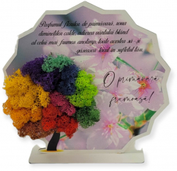 Aranjament de primavara cu licheni stabilizati multicolor 20/20cm 