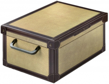 Cutie decorativa Tapirus din carton 42 x 32 x 21 cm cu capac 