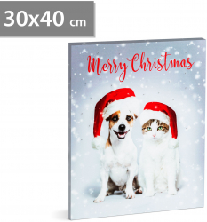 Tablou de Craciun cu LED - 40 x 30 cm 