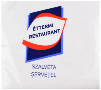 Servetele Ettermi 1 Strat Dimensiune 18x18 cm 600 Foi/Pachet - HRH02009010 