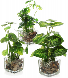 Set 3 Plante Artificiale In Ghiveci De Sticla Pentru Decor