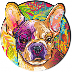 Puzzle 2D Colorat Rocky Wood Trick 107 piese 